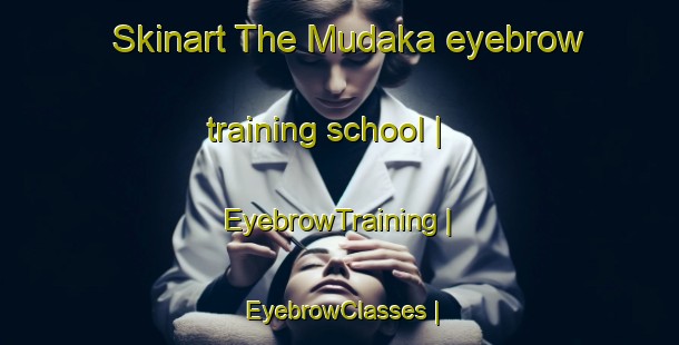 Skinart The Mudaka eyebrow training school | EyebrowTraining | EyebrowClasses | SkinartTraining-the Democratic Republic of the Congo